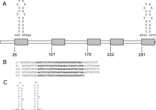 FIG. 3.