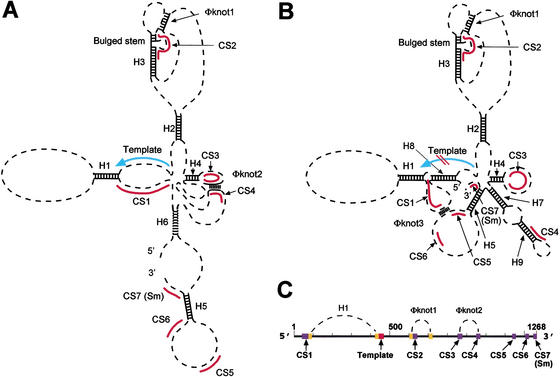 Figure 7.