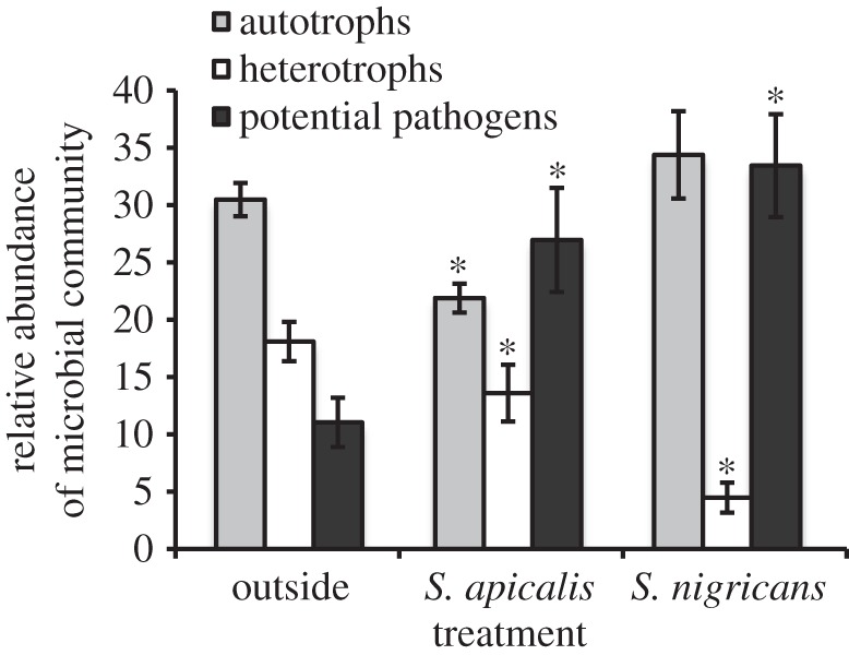 Figure 3.