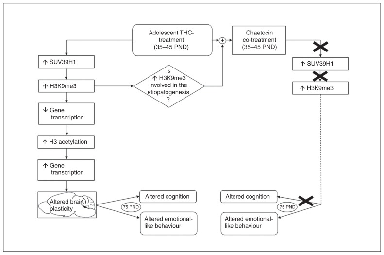 Fig. 10