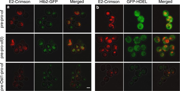 Fig. 4