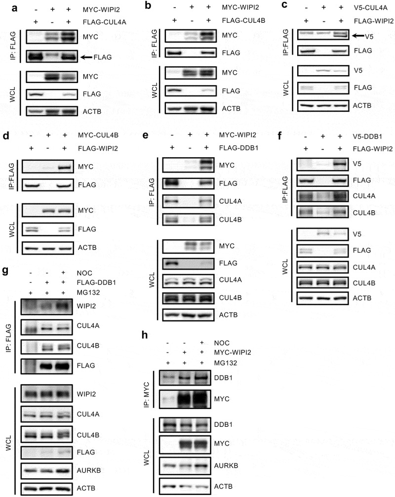 Figure 4.