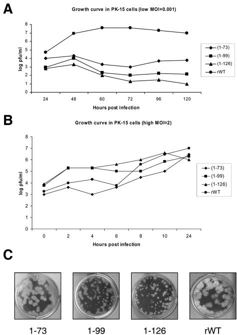 FIG. 2.