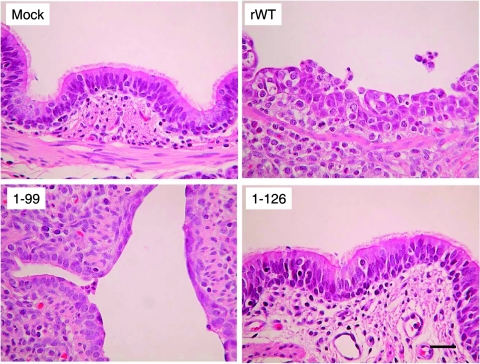 FIG. 7.