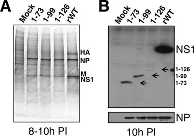 FIG. 4.