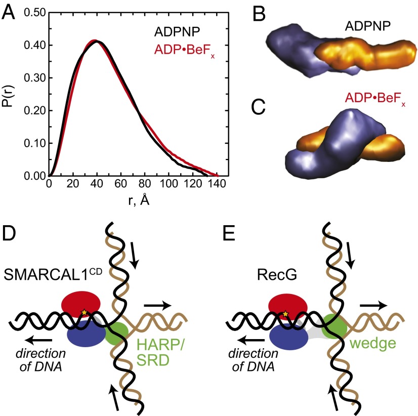 Fig. 4.