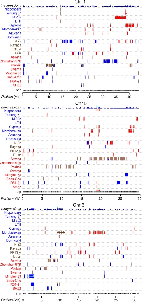 Fig. 3.