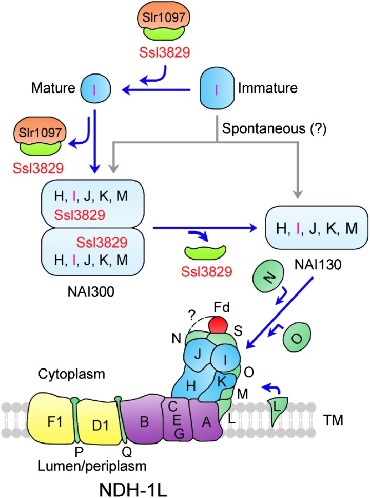 Figure 9.