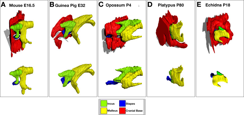 Figure 2—figure supplement 1.