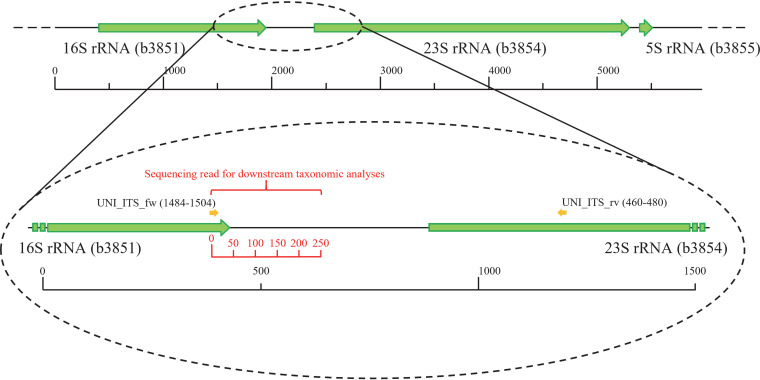 FIG 1