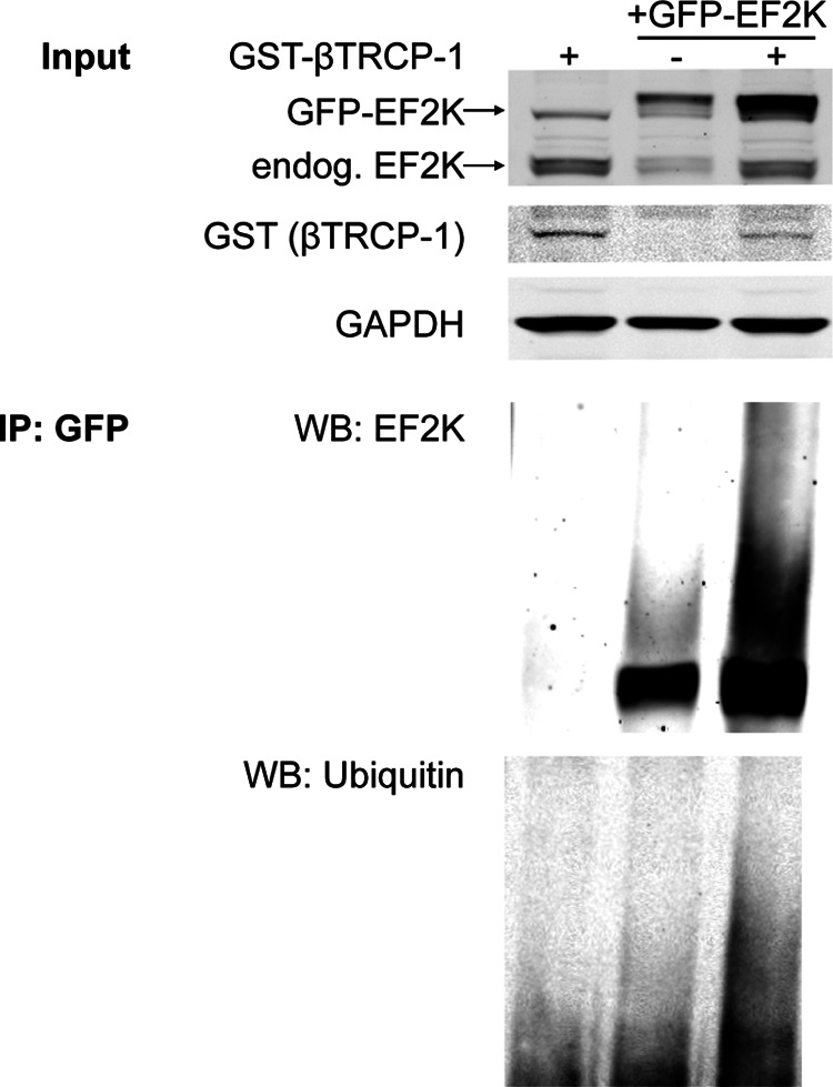 FIGURE 10.