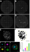 FIG 2