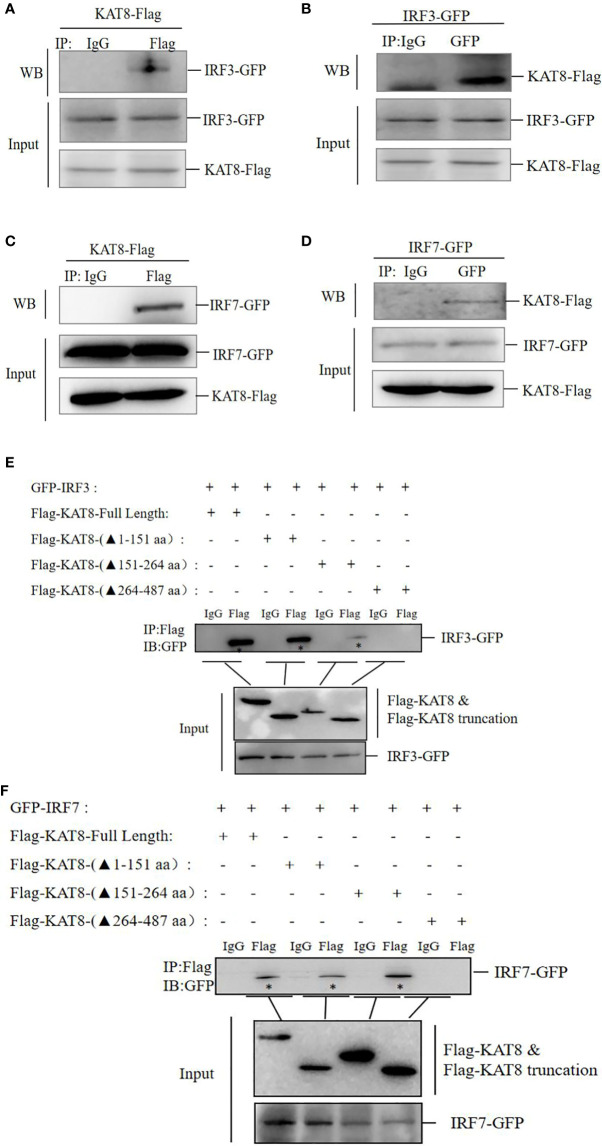 Figure 6