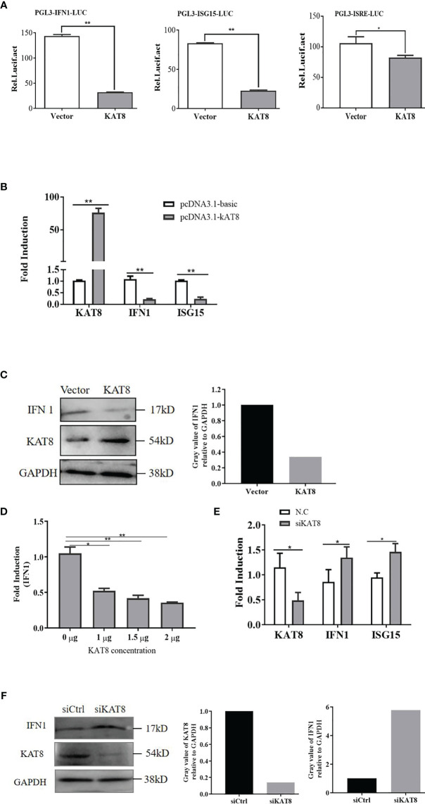 Figure 2