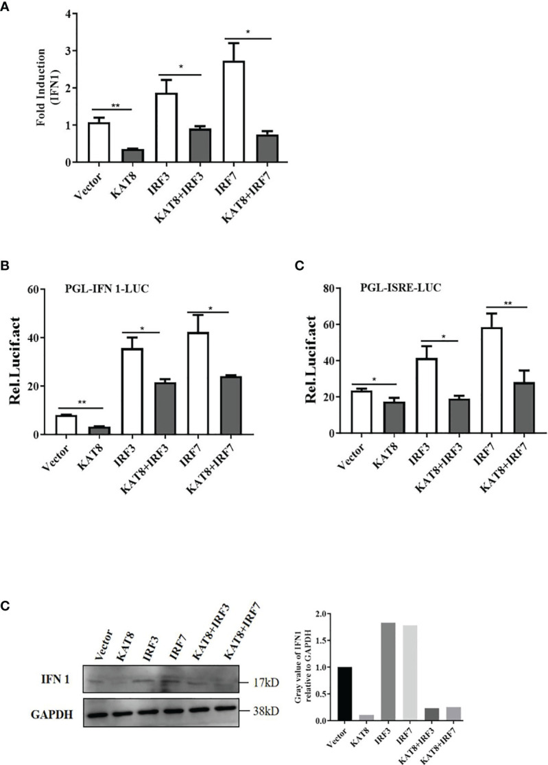 Figure 4