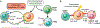 Figure 7: