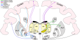 <b>Figure 1.</b>