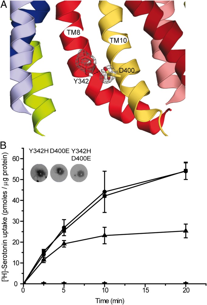 Fig. 4.