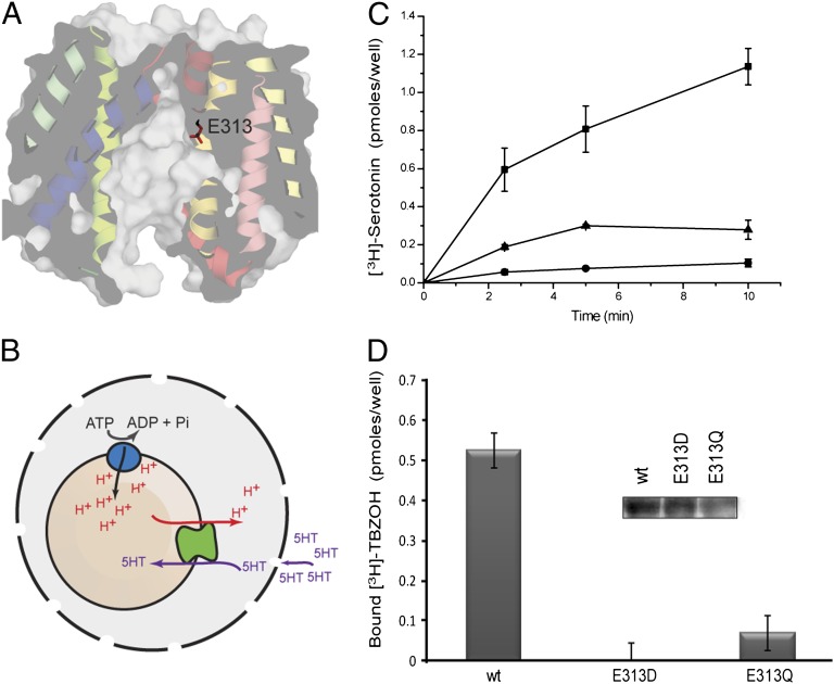 Fig. 3.