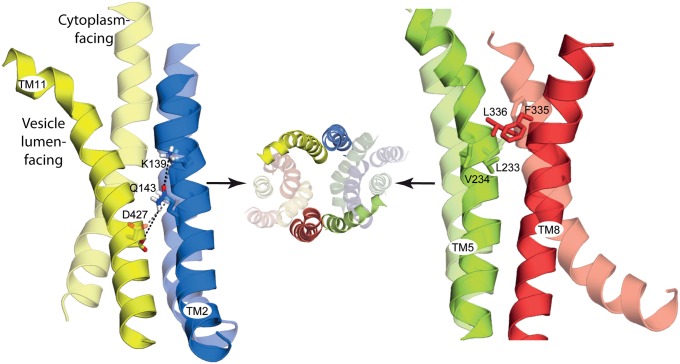 Fig. 7.