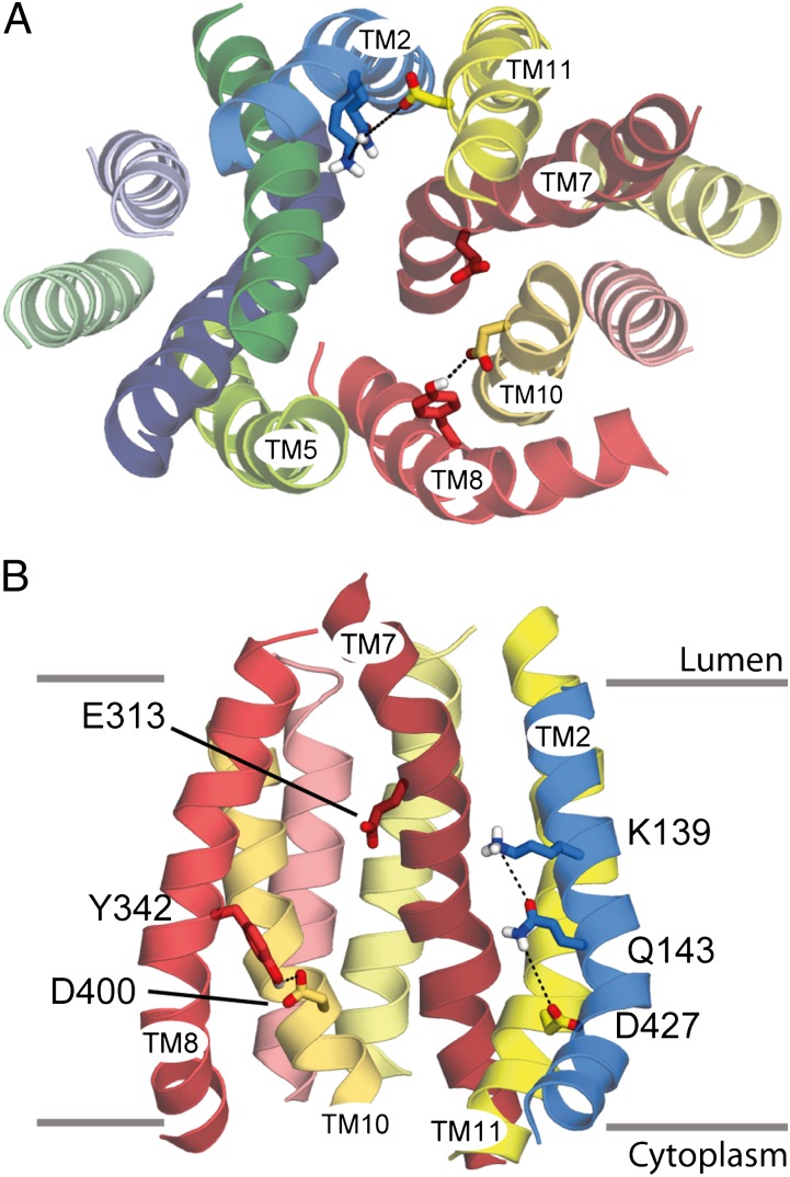 Fig. 2.