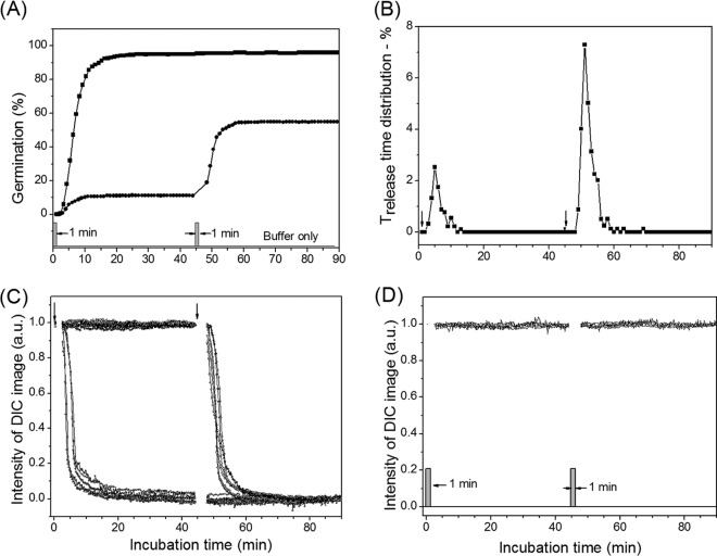 FIG 6