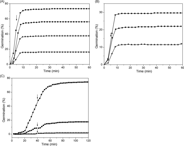 FIG 3