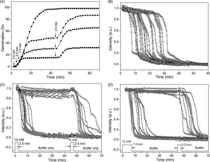 FIG 4