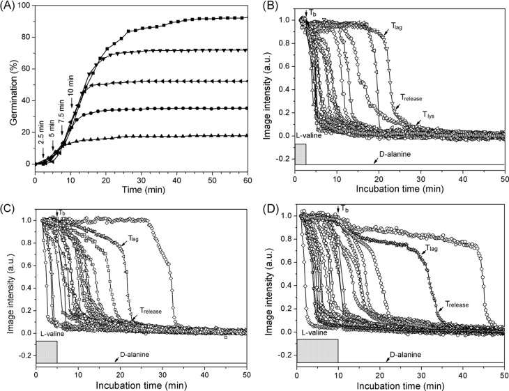 FIG 2