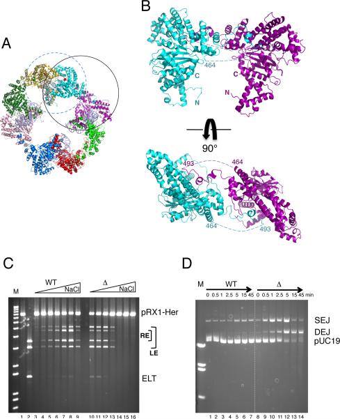 FIGURE 4