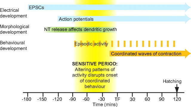 Figure 5.