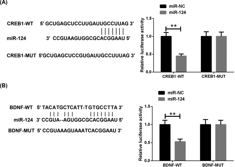 Fig. (6)