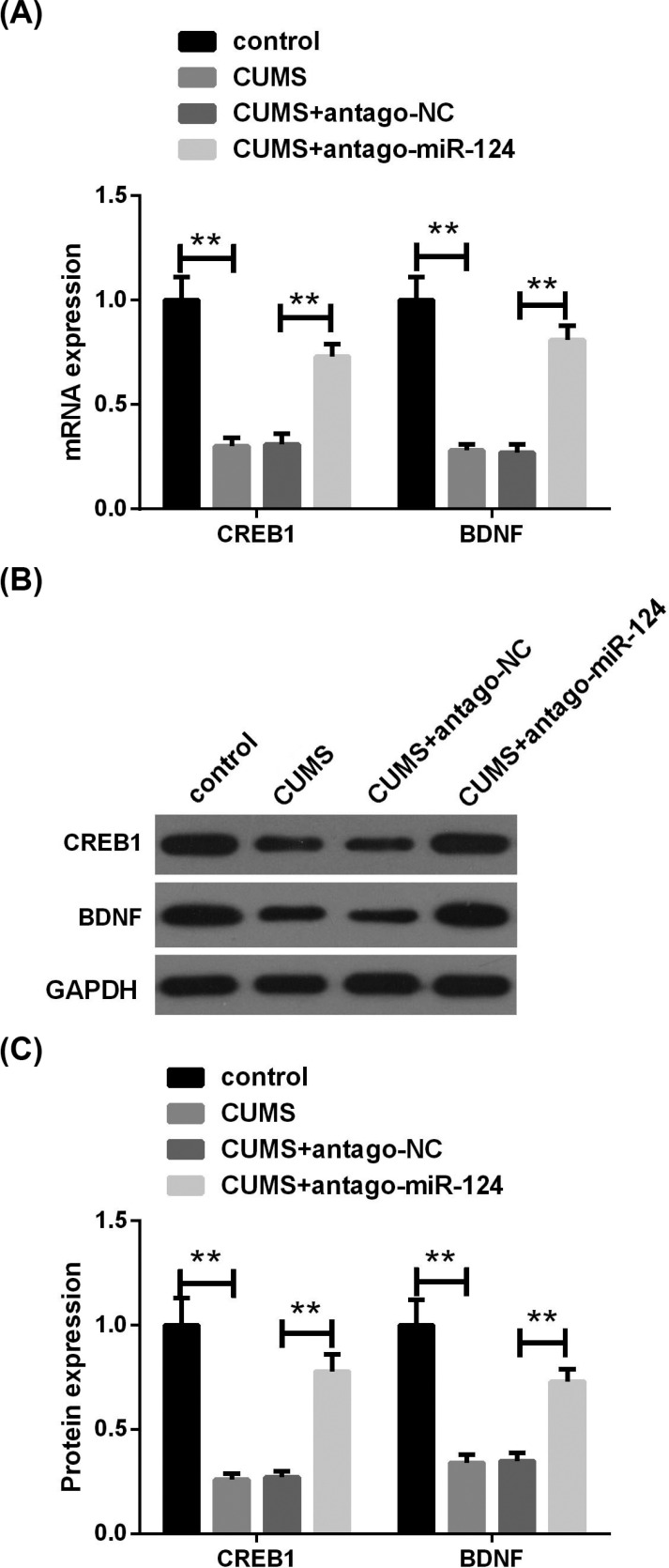 Fig. (5)