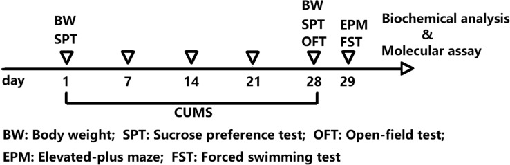 Fig. (1)