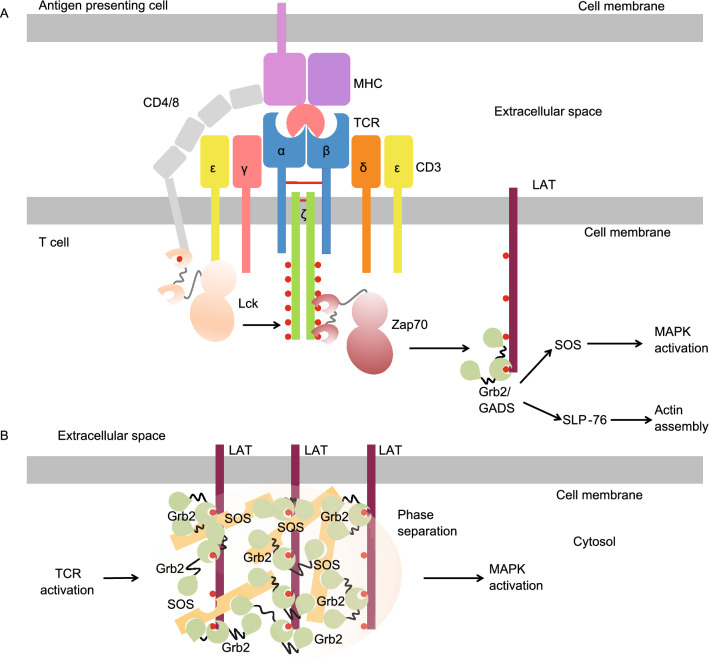 Figure 7