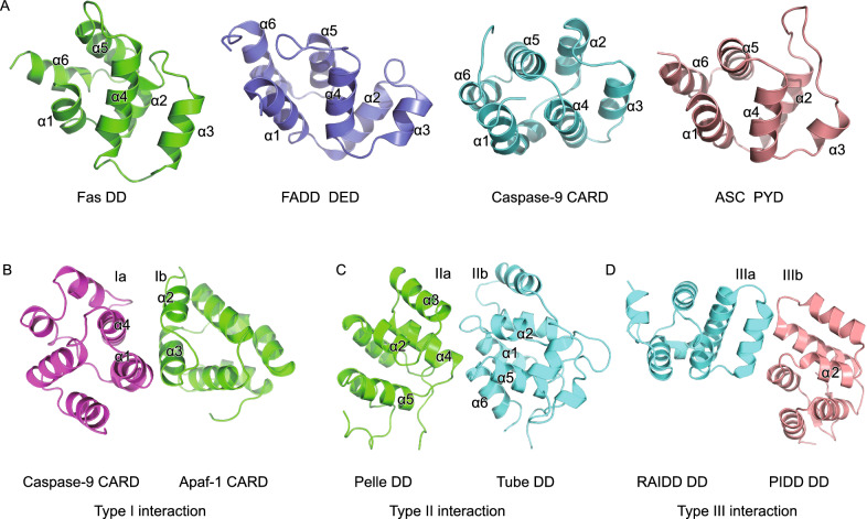 Figure 2