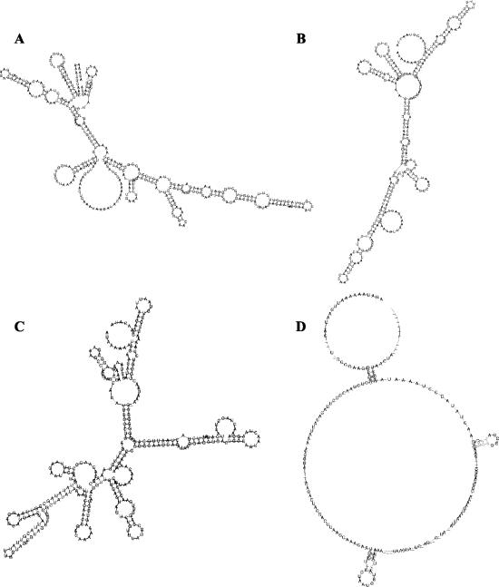 FIG. 6.