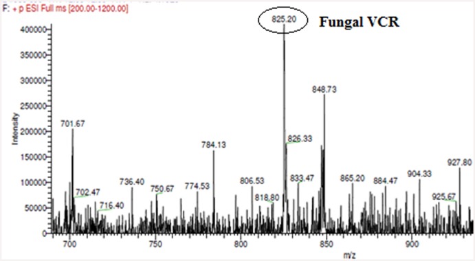 Fig 9