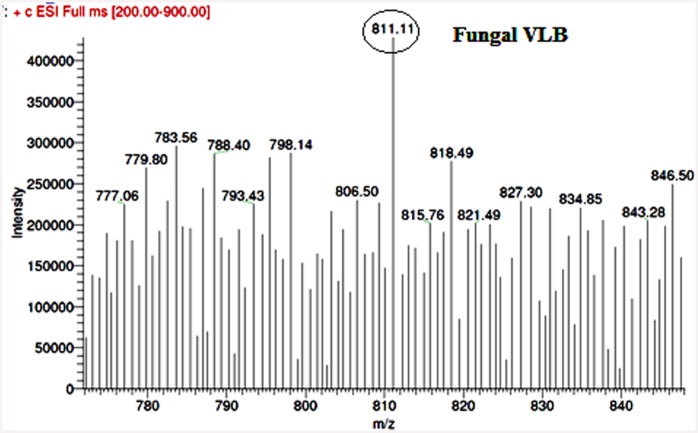 Fig 10