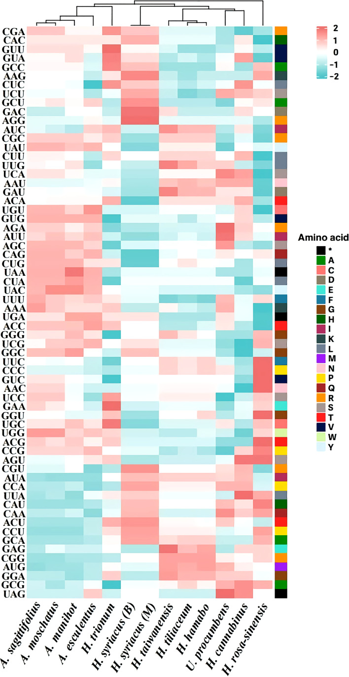 Figure 4