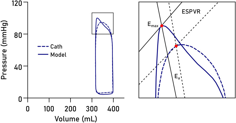 Figure 8