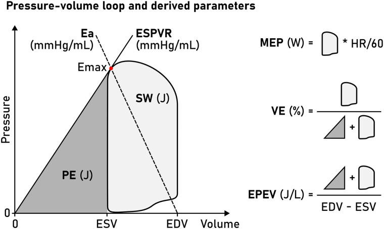 Non-invasive left ventricular pressure-volume loops from cardiovascular ...