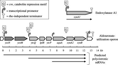 FIG. 2.