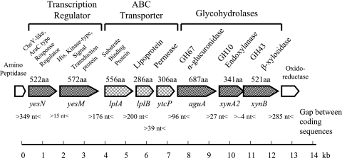 FIG. 1.