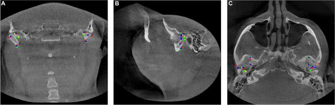 Fig. 2