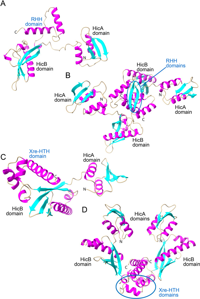 Fig 5