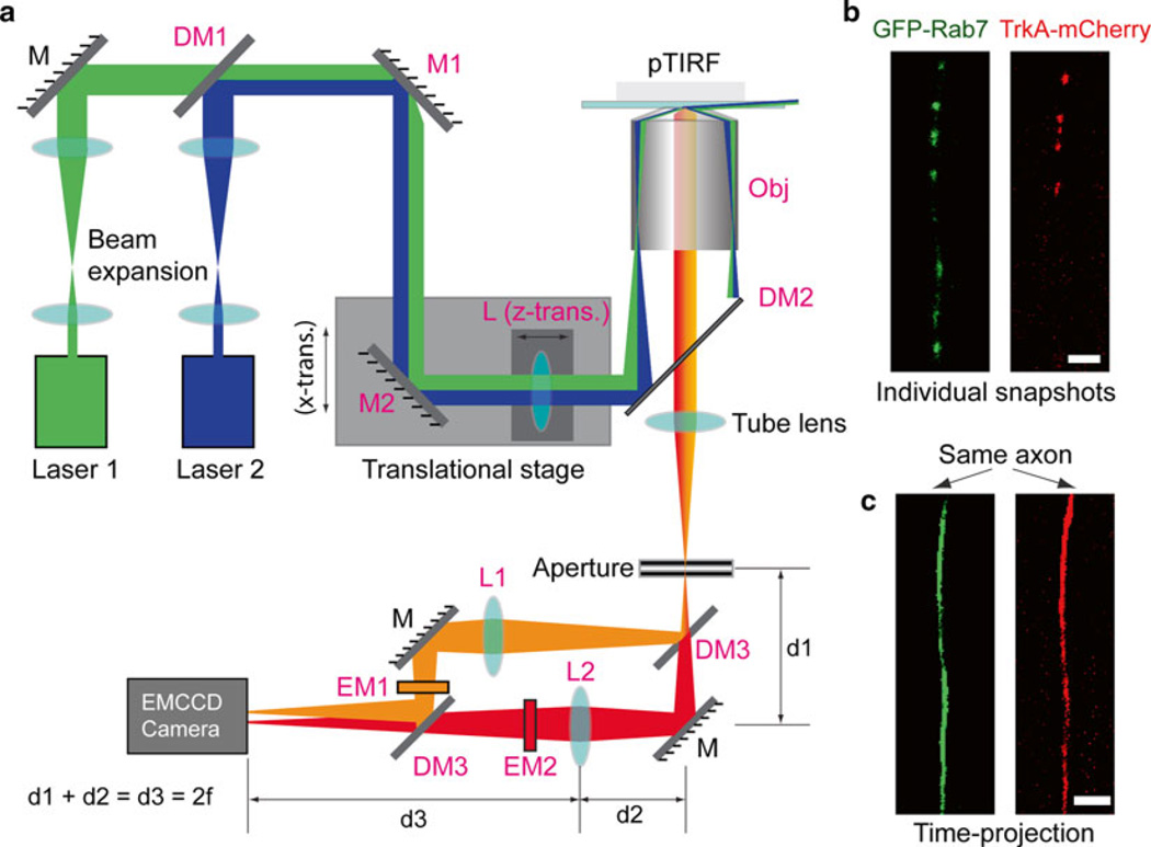 Fig. 2