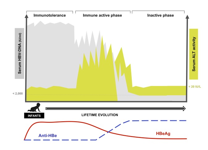 Figure 3: