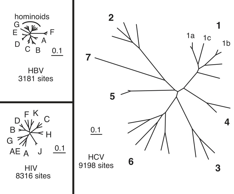 Figure 4: