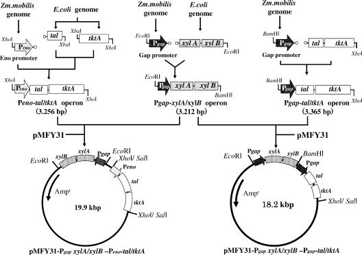 FIG. 1.